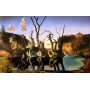 Gulbės, atspindinčios dramblius Salvador Dali 1000
